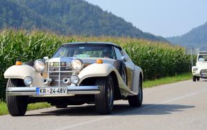 Srečanje starodobnikov